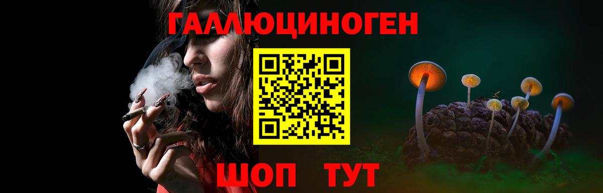 Галлюциногенные грибы прущие грибы  Вход с VPN  Белорецк  Галлюциногенные грибы Cubensis 